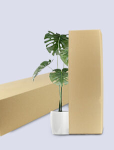 กล่องทรงยาว