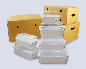 กล่องใส่ผลไม้